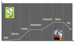 The-7-stages-of-business-life-cycle